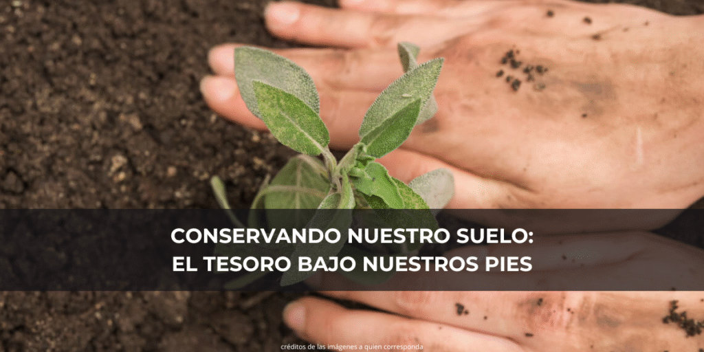 CONSERVANDO NUESTRO SUELO EL TESORO BAJO NUESTROS PIES