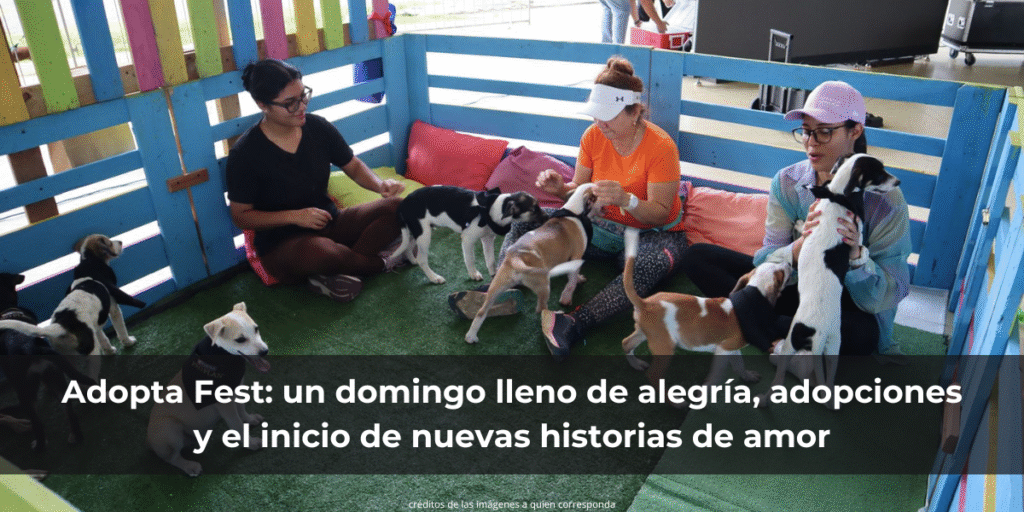 Adopta Fest: un domingo lleno de alegría, adopciones y el inicio de nuevas historias de amor