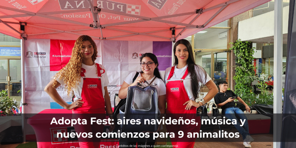 Adopta Fest: aire navideños, música y nuevos comienzos para 9 animalitos
